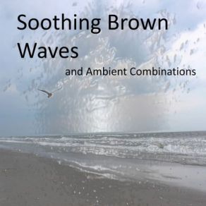 Download track Singing Birds With Soothing Brown Waves (Loopable) Deep Sleep