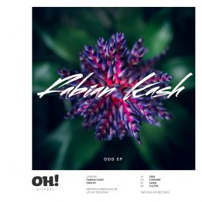 Download track Odd Original Mix Fabian Kash