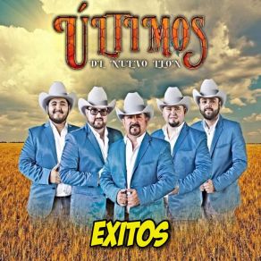 Download track Capullito De Rosa Ultimos De Nuevo Leon