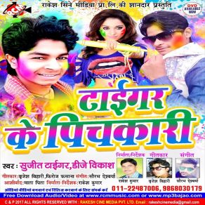 Download track Niche Se Pichkari Satab Sujit Tigar