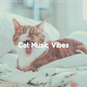 Download track Bright Moods For Kittens Cat Music Vibes