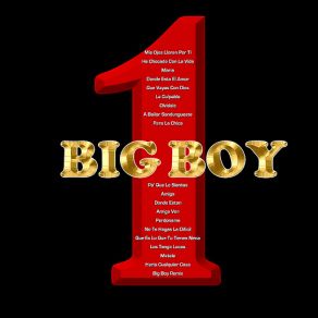 Download track Que Es Lo Que Tu Tienes Nena Big Boy