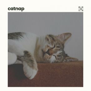 Download track Relaxing Times, Pt. 4 Music For Cats
