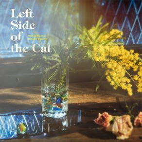 Download track Will You Left Side Of The Cat