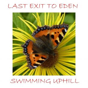 Download track Last Exit To Eden Swimming Uphill