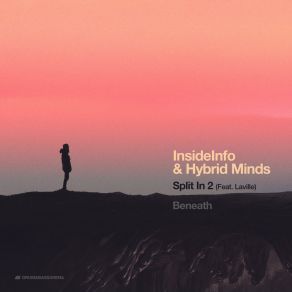 Download track Split In 2 Hybrid MindsLaville