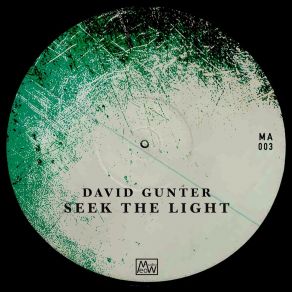 Download track Seek The Light David Gunter