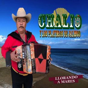 Download track Los Dos Hermanos Los Playeros De Jalisco