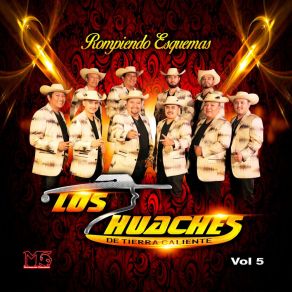 Download track La Flor Tenia Espinas Los Huaches De Tierra Caliente