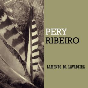 Download track Evolução Pery Ribeiro