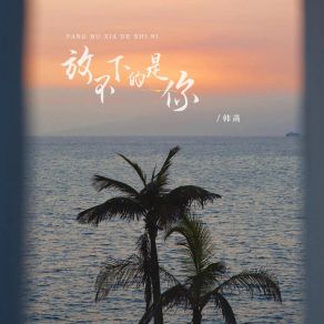 Download track 放不下的是你 (DJ版) Han Han