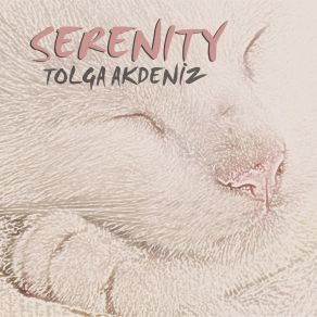 Download track Reminiscence Tolga Akdeniz