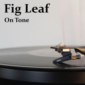 Download track Singing Softly Always Hurts Fig Leaf