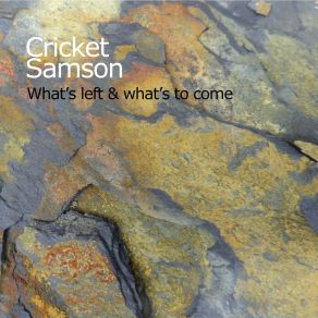 Download track Just A Thought Cricket Samson