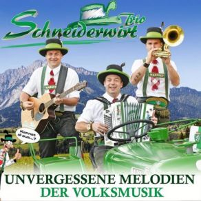 Download track Die Bauernstubn Schneiderwirt Trio