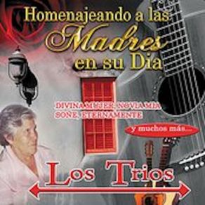 Download track No Llorare Por Ti Los Trios