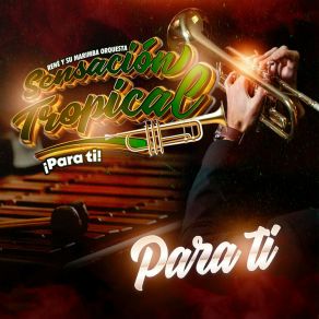 Download track Mix Merengues Retro # 1: En Busca De Amor / Mi Plegaria / Pintalbaios Su Marimba Orquesta Sensación Tropical