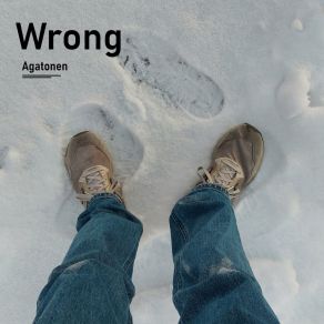 Download track Wrong (Instrumental) Agatonen