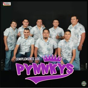 Download track Amargo Adios Los Pinnkys