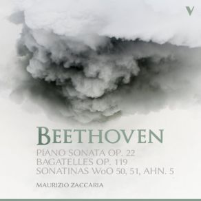 Download track Piano Sonata No. 11 In B-Flat Major, Op. 22: IV. Rondo. Allegretto Maurizio Zaccaria