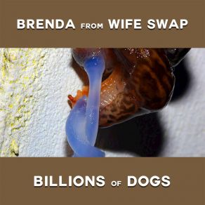 Download track Billions Of Dogs, Pt. I Brenda From Wife Swap