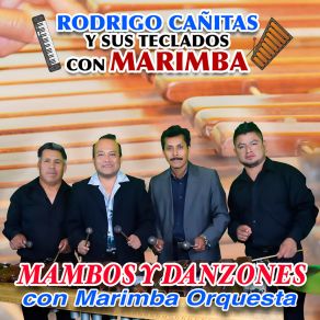 Download track Danzón Juárez (En Vivo) Rodrigo Cañitas