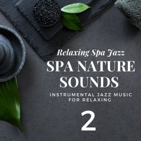 Download track Nature Sounds - Clear Mind (Zen Garden) (SPA Jazz Music) Relaxing Spa JazzZen Garden