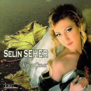 Download track Buna Canmı Dayanır Selin Seher