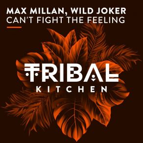 Download track Can't Fight The Feeling (Original Mix) Wild Joker