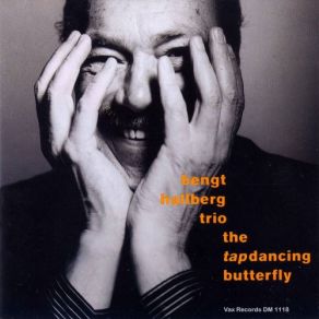 Download track Goodbye Butterfly Bengt Hallberg, Sture Akerberg, Ronnie Gardiner