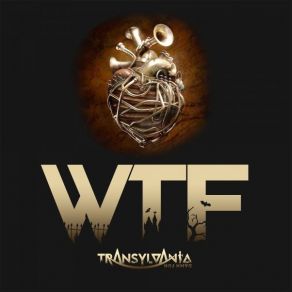 Download track WTF (Original Mix) Transylvania Damn Fun