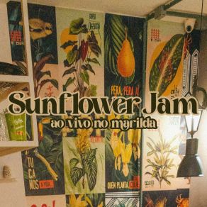 Download track Saideira (Ao Vivo) Sunflower JamBabi Ceresa