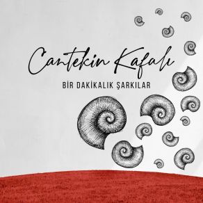 Download track Kaygı Cantekin Kafalı