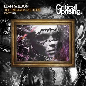 Download track The Bigger Picture (Original Mix) Liam Wilson