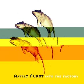 Download track Your Fucking Rules Matteo Furst