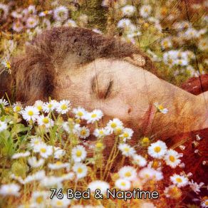 Download track Silky Smooth Sleep Spa Music Natural White Noise Sound Therapy