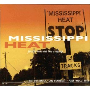 Download track Caribbean Sunshine Mississippi Heat