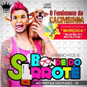 Download track Pintinho Amarelinho Bonde Do Serrote