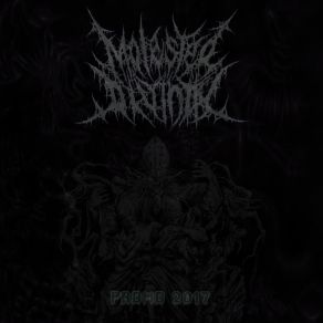 Download track Depths Of Chaotic Existence Molested Divinity