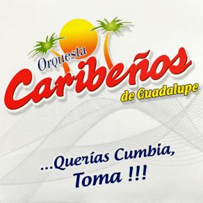 Download track Volverte A Amar Orquesta Caribeños De Guadalupe