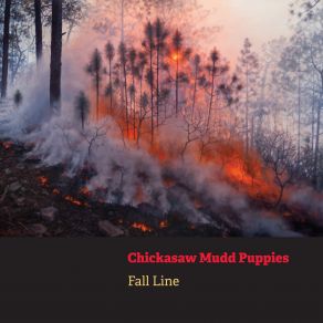 Download track Preacher Chickasaw Mudd Puppies