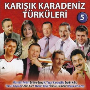 Download track Gençliğimi Ararım Temel Bayram