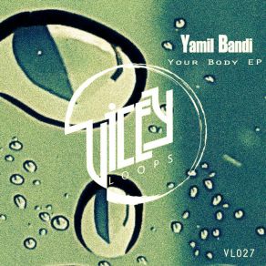 Download track The One I Want (Original Mix) Yamil Bandi