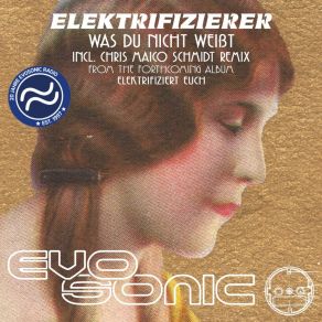 Download track Was Du Nicht Weisst (Chris Maico Schmidt Remix) Elektrifizierer