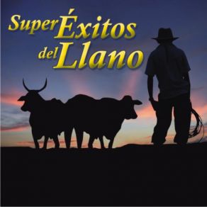 Download track TRAVESIAS DE MI LLANO JESUS FARFAN