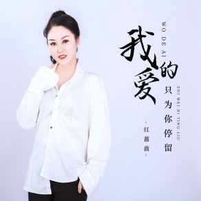 Download track 我的爱只为你停留 (DJ默涵版) 红蔷薇默涵