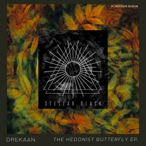 Download track Step Towards To Light Drekaan