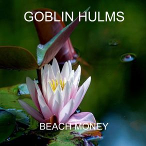 Download track Beach Money (Radio Edit) Goblin Hulms