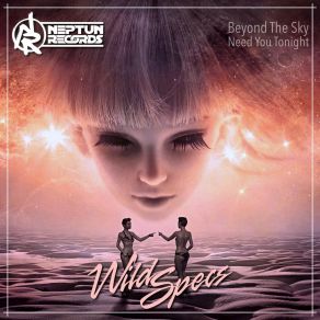 Download track Beyond The Sky (Pro Mix) Wild Specs