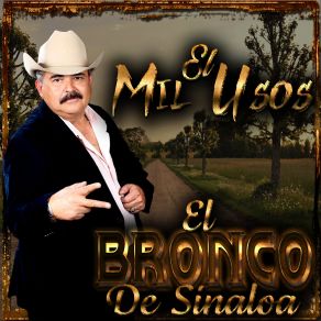 Download track Los Cinco Hermanos Vizcarra El Bronco De Sinaloa